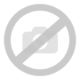 Kostka brukowa Forum Wapień Dewoński