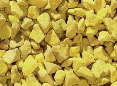 Grys Ozdobny Żółty