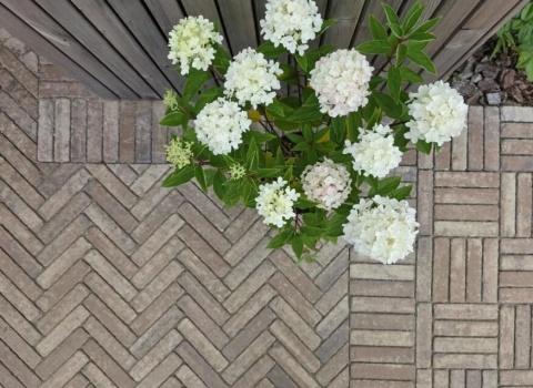 Kostka brukowa Listello ANTICO