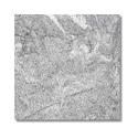 Płytka granitowa szara polerowana Juparana Grey 60x60x1,5 cm
