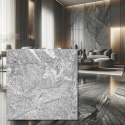 Płytka granitowa szara polerowana Juparana Grey 60x60x1,5 cm