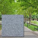 Płyta drogowa granitowa szara płomieniowana Bianco Sardo G602 60x60x6 cm