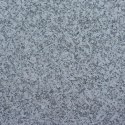 Płytka granitowa szara płomieniowana Bianco Sardo G602 60x60x2 cm