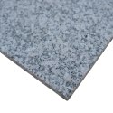 Płytka granitowa szara płomieniowana Bianco Sardo G602 60x60x3 cm