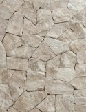 Trawertyn dzikówka / crazy wall Rockface Ivory Classic