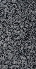 Stopnica granitowa polerowana z antypoślizgiem G654 100x35x2 cm